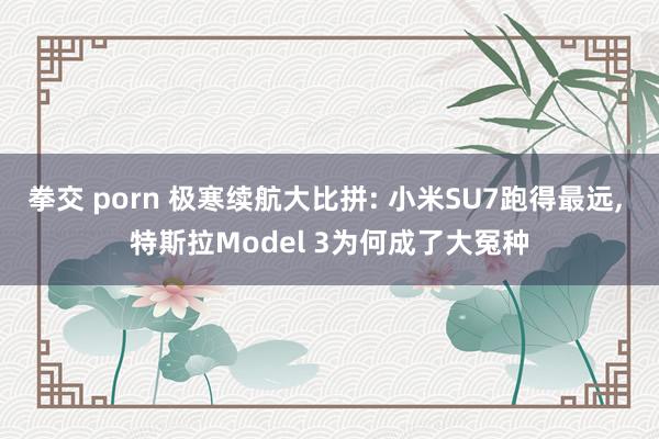 拳交 porn 极寒续航大比拼: 小米SU7跑得最远， 特斯拉Model 3为何成了大冤种