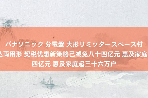 パナソニック 分電盤 大形リミッタースペース付 露出・半埋込両用形 契税优惠新策略已减免八十四亿元 惠及家庭超三十六万户