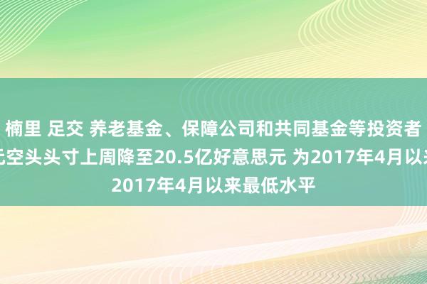 楠里 足交 养老基金、保障公司和共同基金等投资者净好意思元空头头寸上周降至20.5亿好意思元 为2017年4月以来最低水平