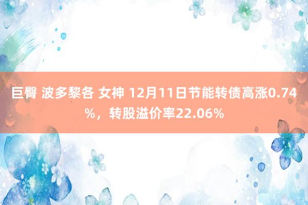 巨臀 波多黎各 女神 12月11日节能转债高涨0.74%，转股溢价率22.06%