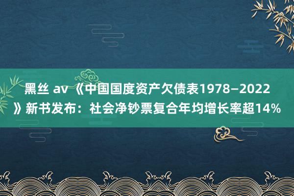 黑丝 av 《中国国度资产欠债表1978—2022》新书发布：社会净钞票复合年均增长率超14%