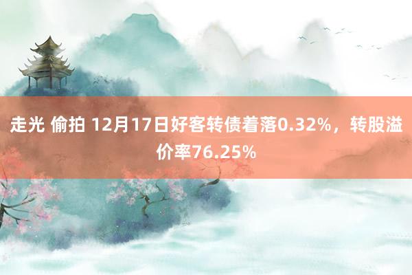 走光 偷拍 12月17日好客转债着落0.32%，转股溢价率76.25%