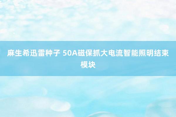 麻生希迅雷种子 50A磁保抓大电流智能照明结束模块