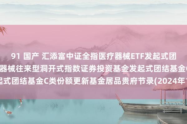 91 国产 汇添富中证全指医疗器械ETF发起式团结C: 汇添富中证全指医疗器械往来型洞开式指数证券投资基金发起式团结基金C类份额更新基金居品贵府节录(2024年12月19日更新)