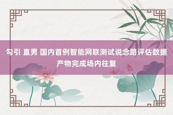 勾引 直男 国内首例智能网联测试说念路评估数据产物完成场内往复