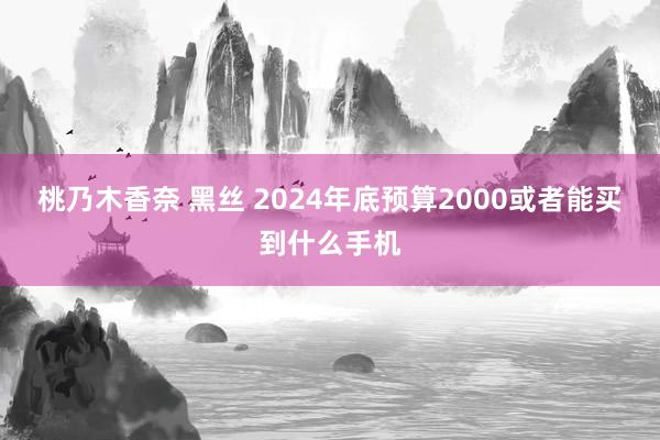 桃乃木香奈 黑丝 2024年底预算2000或者能买到什么手机