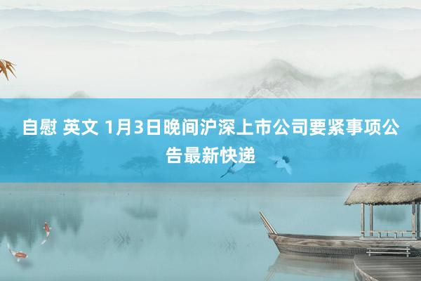 自慰 英文 1月3日晚间沪深上市公司要紧事项公告最新快递