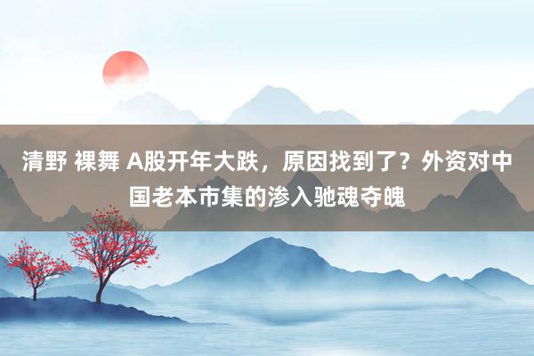 清野 裸舞 A股开年大跌，原因找到了？外资对中国老本市集的渗入驰魂夺魄