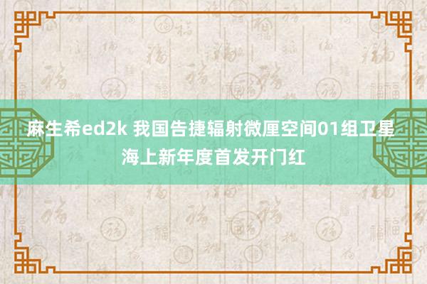 麻生希ed2k 我国告捷辐射微厘空间01组卫星 海上新年度首发开门红