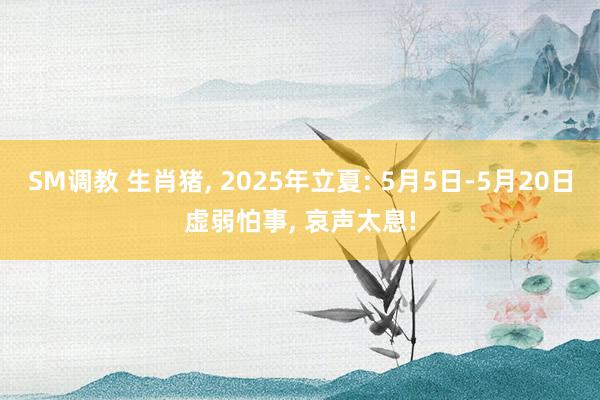 SM调教 生肖猪, 2025年立夏: 5月5日-5月20日虚弱怕事, 哀声太息!